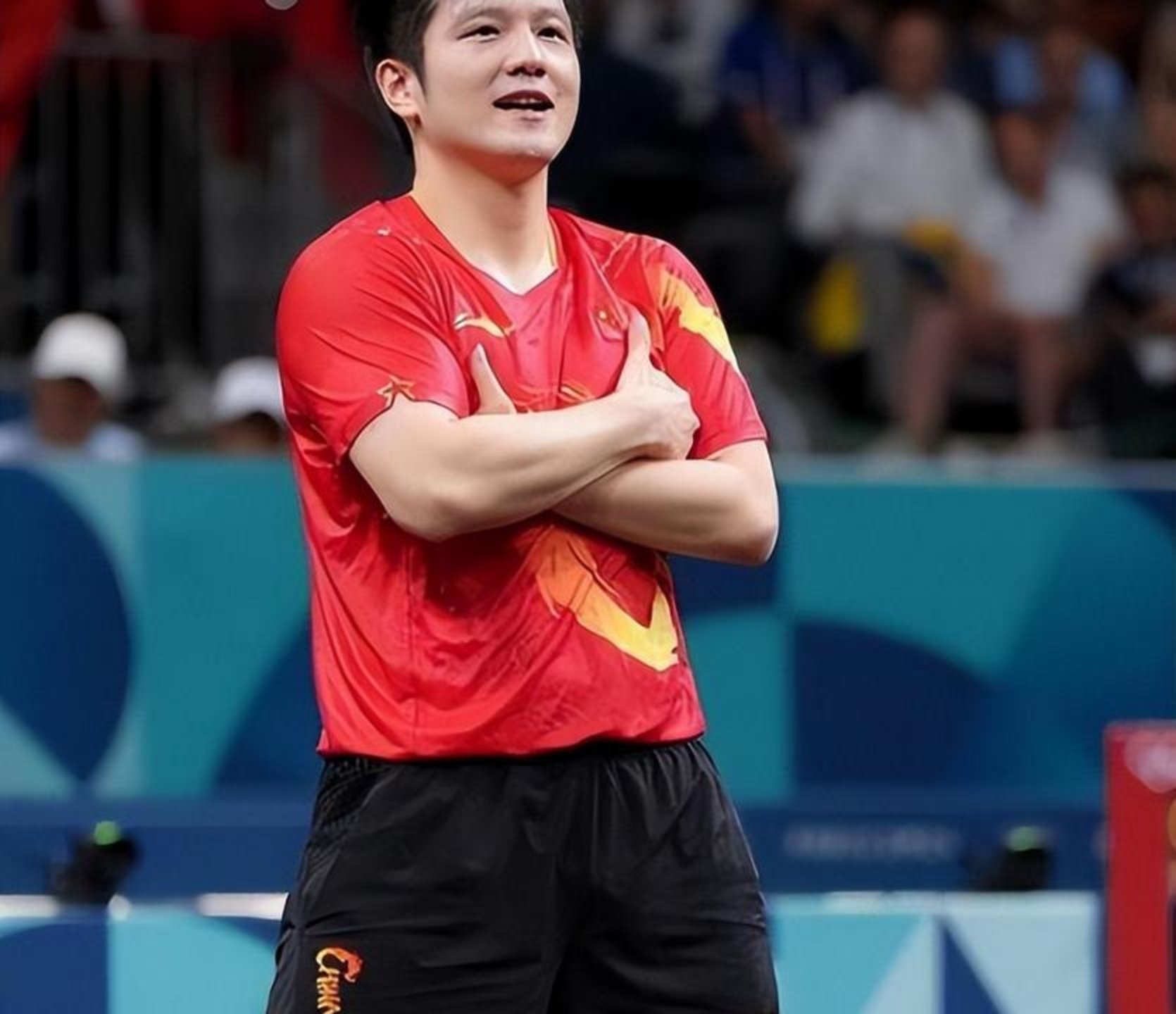 波兰乒乓球队横扫奥地利乒乓球队,樊振东爆发神勇的简单介绍 波兰乒乓球队横扫奥地利乒乓球队,樊振东爆发神勇的简单介绍